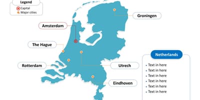 Rotterdam holland kat jeyografik