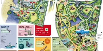 Kat jeyografik nan Rotterdam zou a 